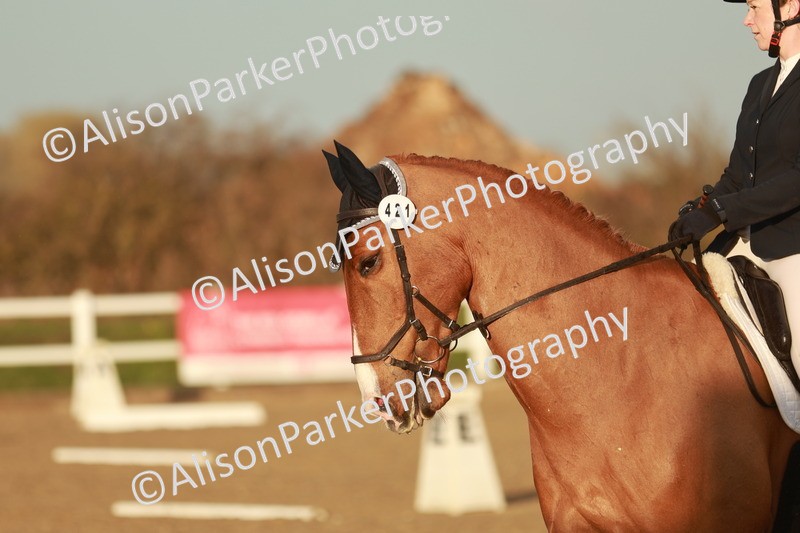 20260314-6480 - CT7 - Elementary 2