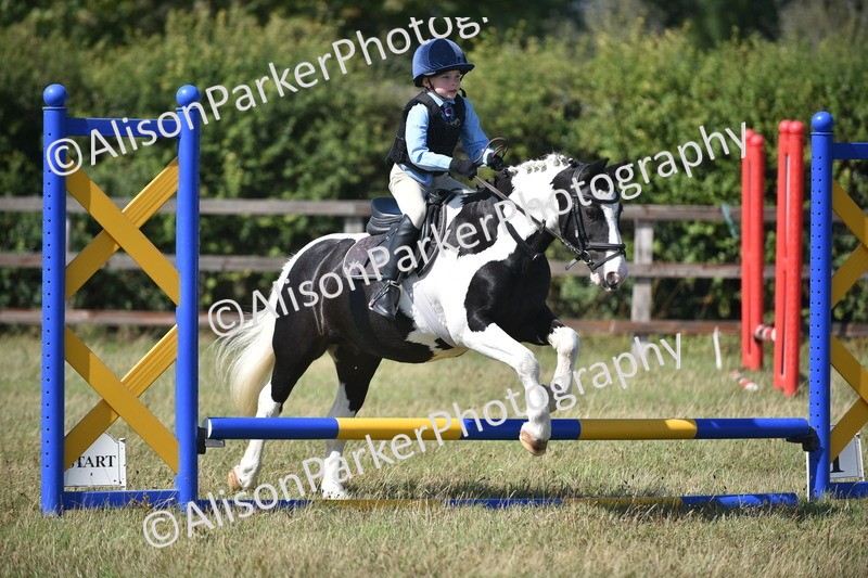 20260906-1710 - Class 9 - Absolute Novice Jumping 45cm