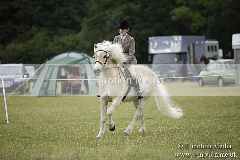 BVR160717-1535 - Ring 1 BVRC Show 16/07/17