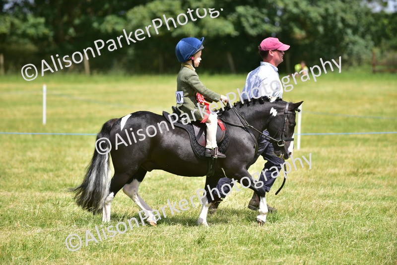 20260614-1424 - Class 11b - Lead Rein Pony (Plaited)