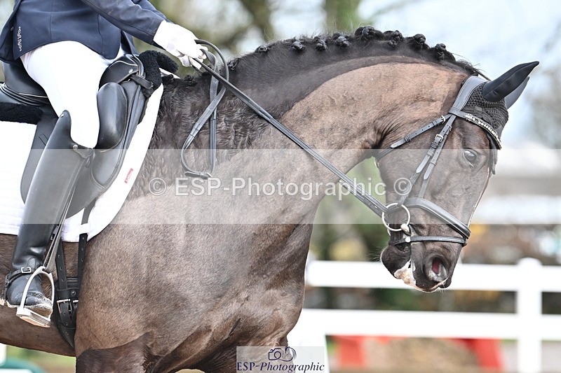 240218A-093526-04788 - 102-Caroline.Squire-Viva.Venezuela