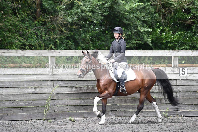 WJ6_0389 - Class 13 Novice 60cm