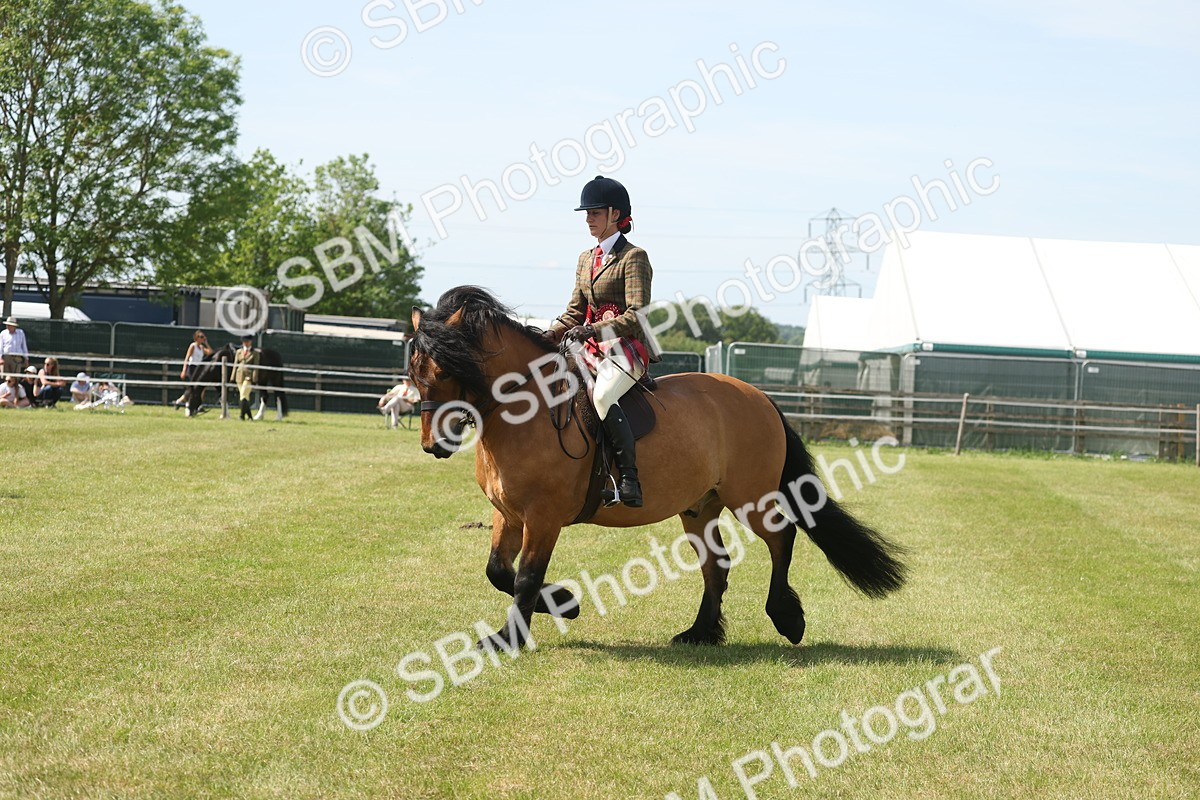 SBM_07691 - Class 26-30 - Mountain and Moorland Ridden