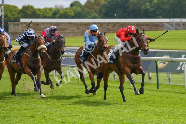 yr22052021r4-27 - Race 4 3.50pm WilliamHill.com Best Odds Guaranteed Stakes