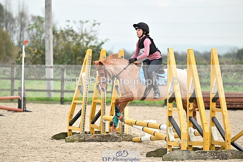 241110-121814-00651 - 50-55cm Arena Eventing
