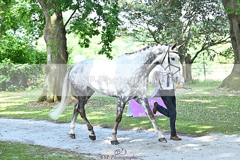 250521A-153334-00587 - B-311-Barnie.Brotherton-WHIXLEY.QUALITAS