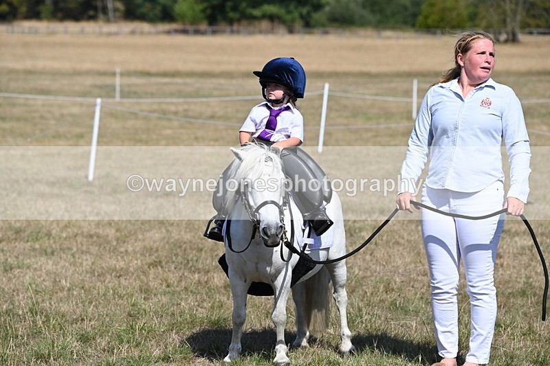 WJ6_9409 - Class 40 Cheekiest Pony/Horse