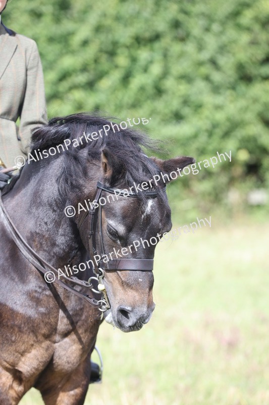20250831-1269 - Class 15 - Ridden Veteran