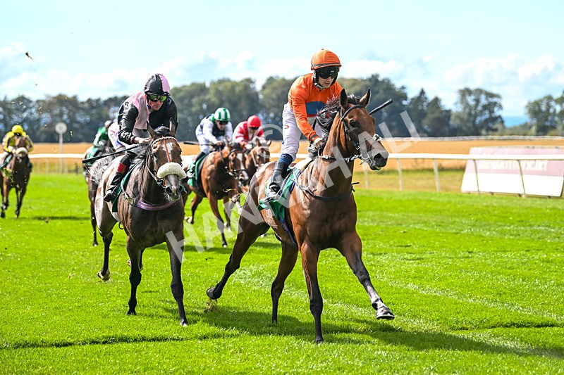 290825-Race 3-Be The Standard-8610 - Race 3