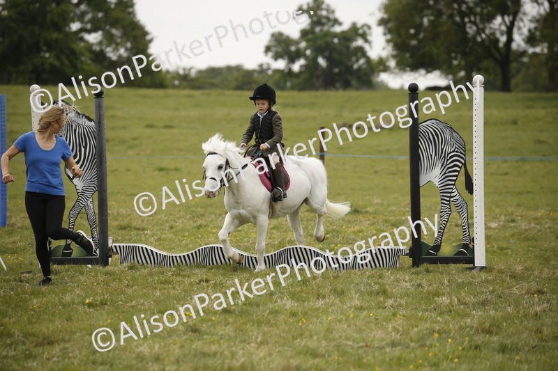 20250517-0985 - Class 2 - 30cm Off Lead Rein