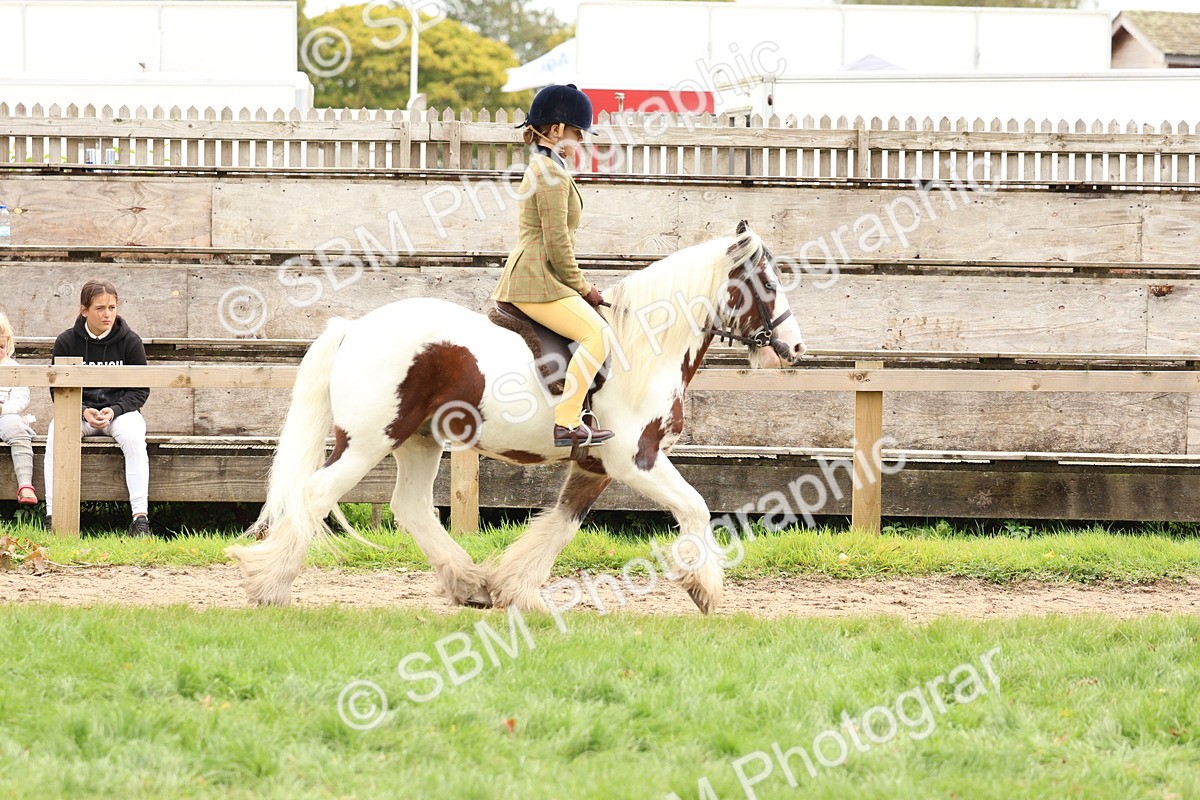 SBM_64427 - S58 - Coloured Pony Ridden