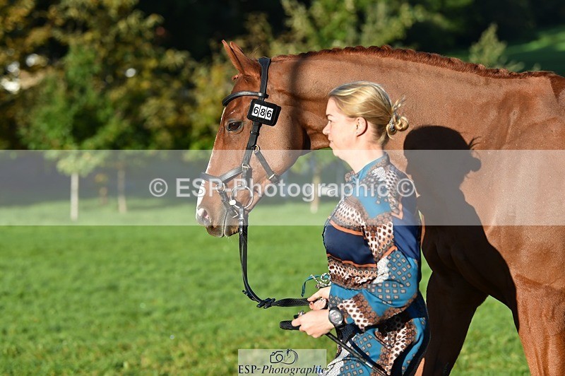 231022-092918-21826 - 686-MOORLAND.MAGIC-Charlotte.Chard-TrotUp+SJ