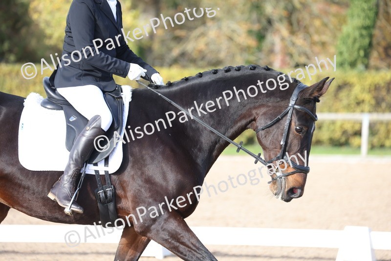 20251101-0649 - Class 5 - Novice 3