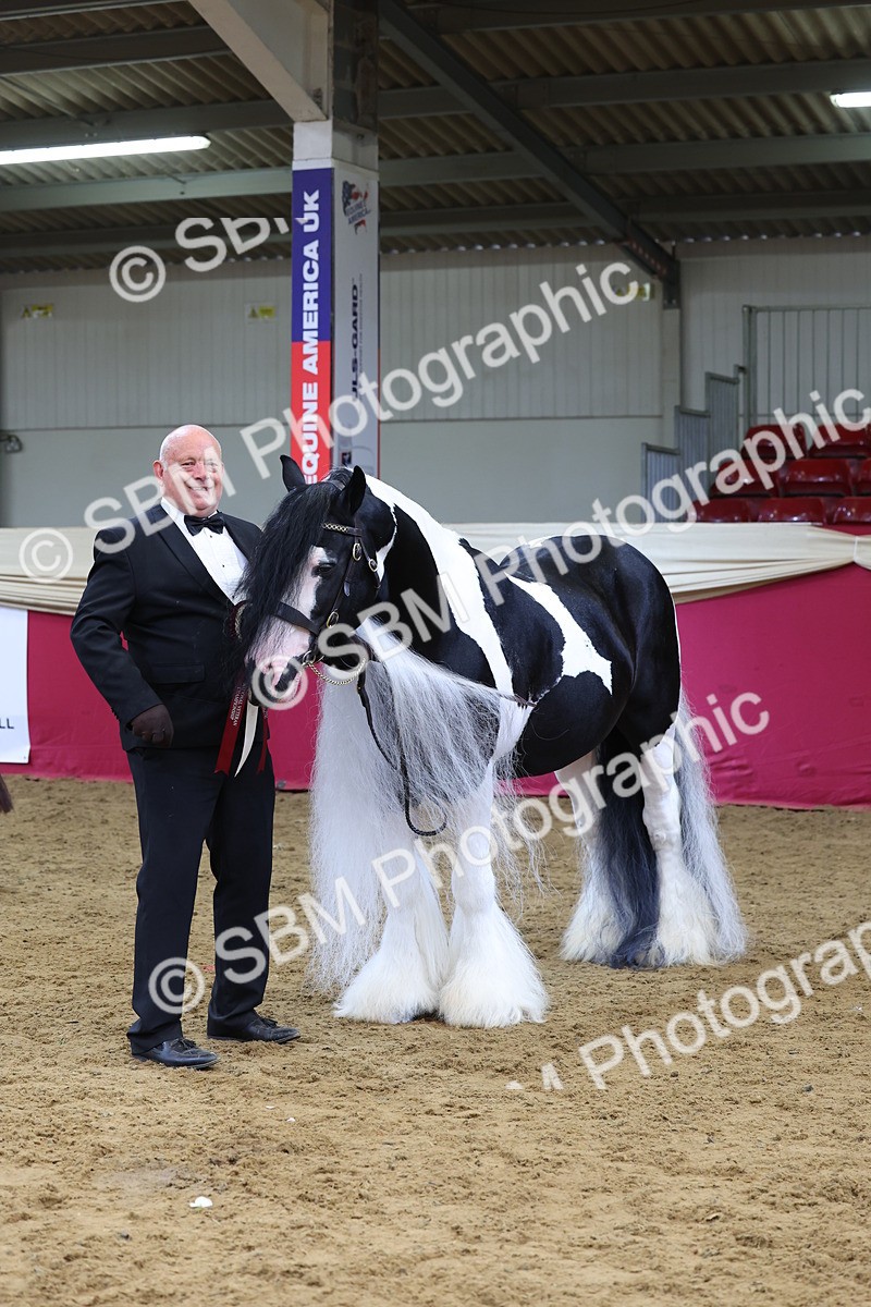 SBM_22945 - Class 903 - Supreme Final - IH Pre Vet