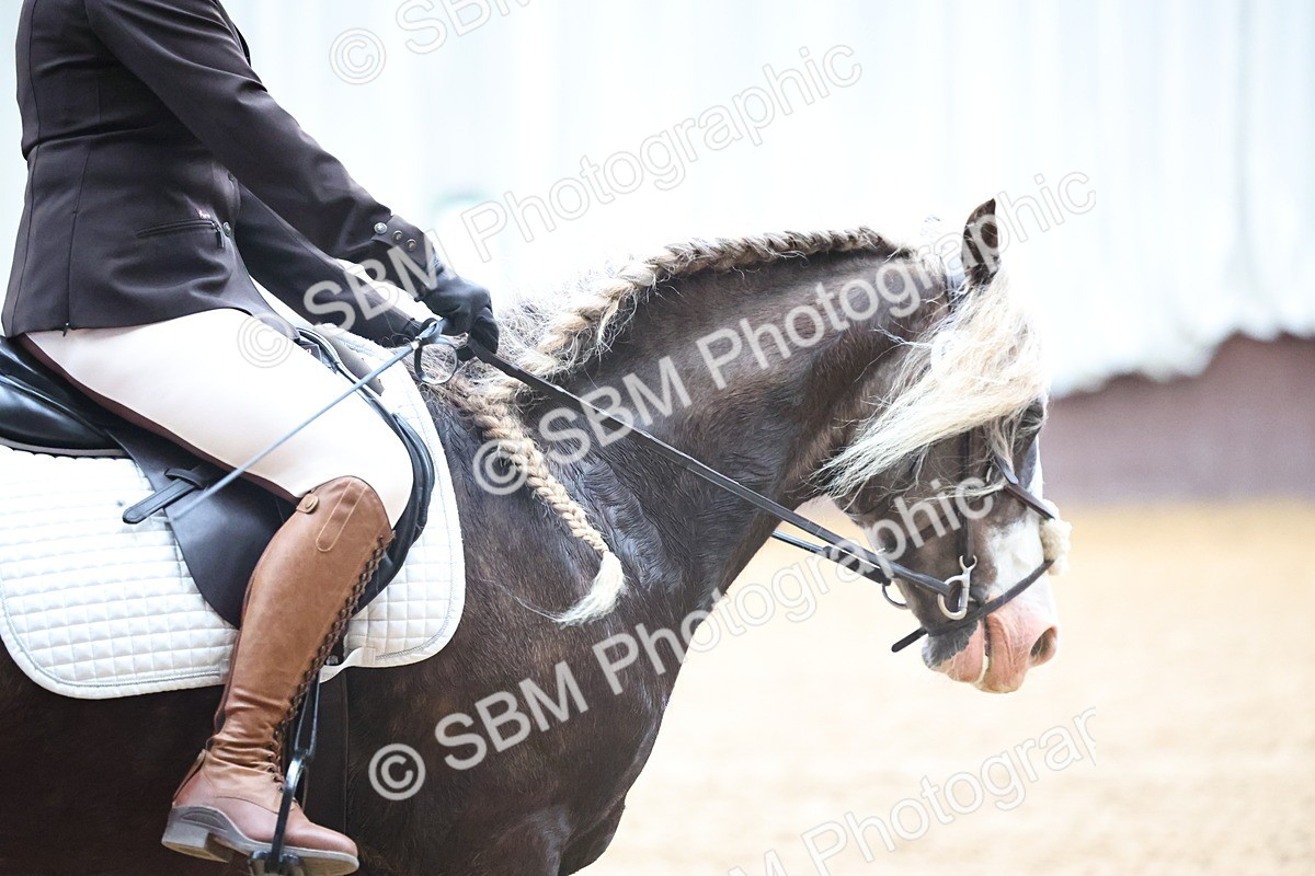 SBM_004179 - Class 1 - Intro 2-3