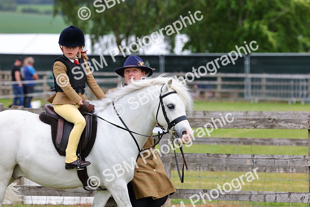 SBM_08078 - Class 42-43 - LIHS BSPS Heritage Working Sports Pony