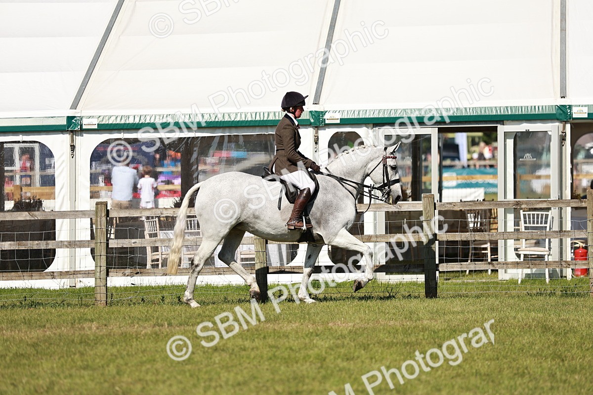 SBM_18865 - Class 114 - RIHS & SEIB Open Working Show Horse