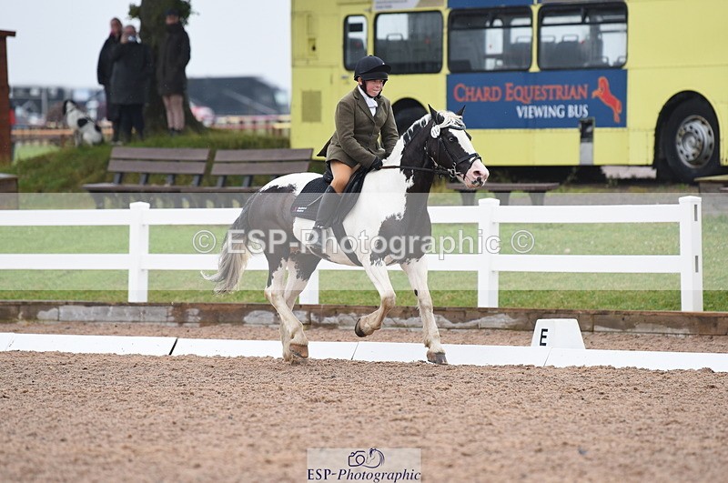 230708A-125042-01780 - Prelim 7