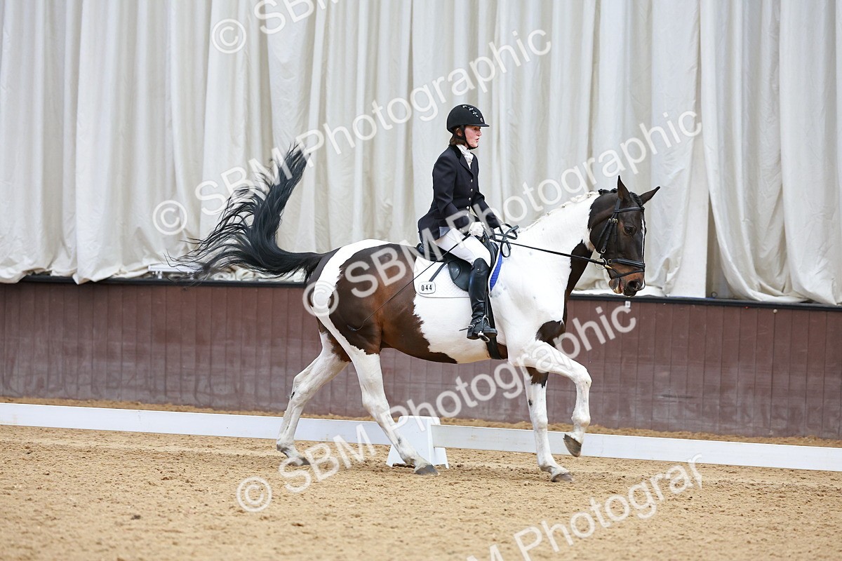 SBM_002981 - Class 14 - Novice 2