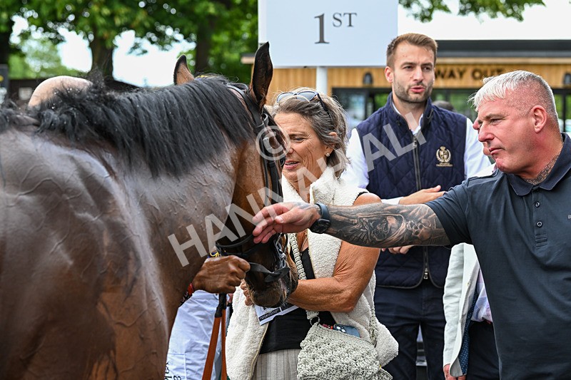 170625-Race 1-Royal Fixation-4506 - Race 1