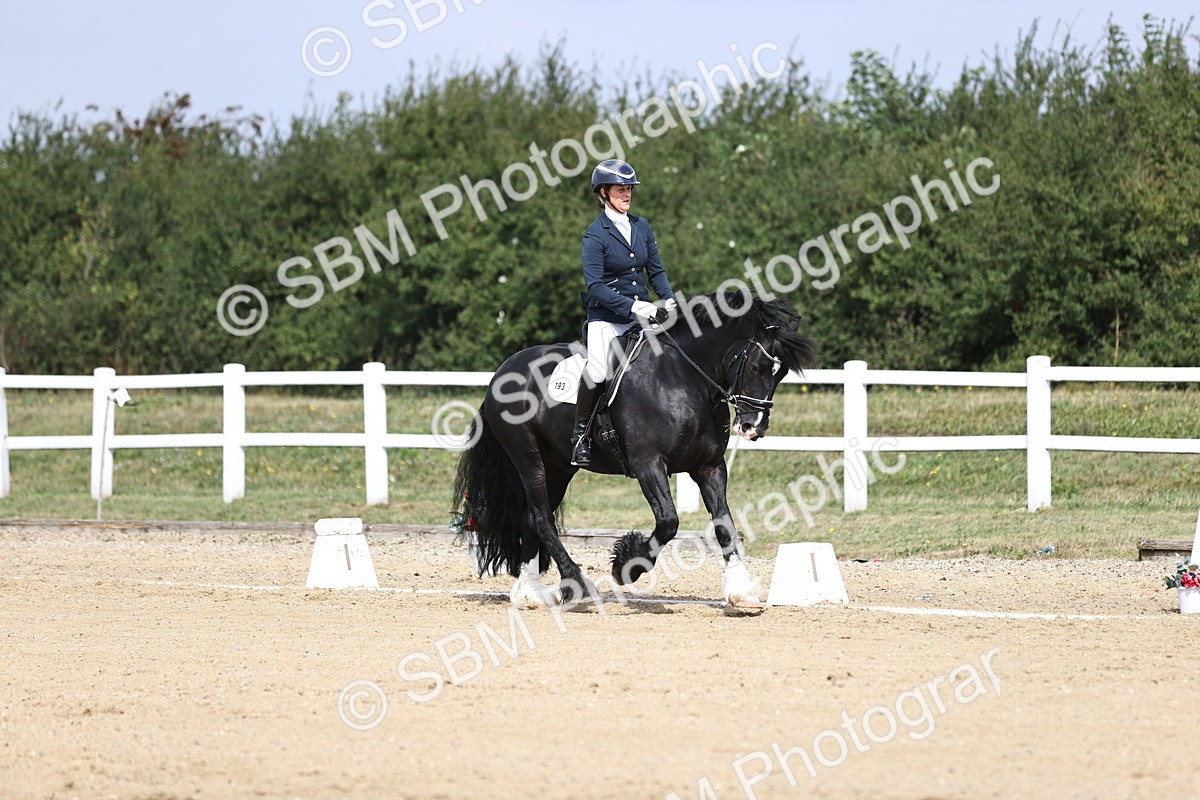 SBM_016718 - Class 14 Novice 23 - 11.53-12.56