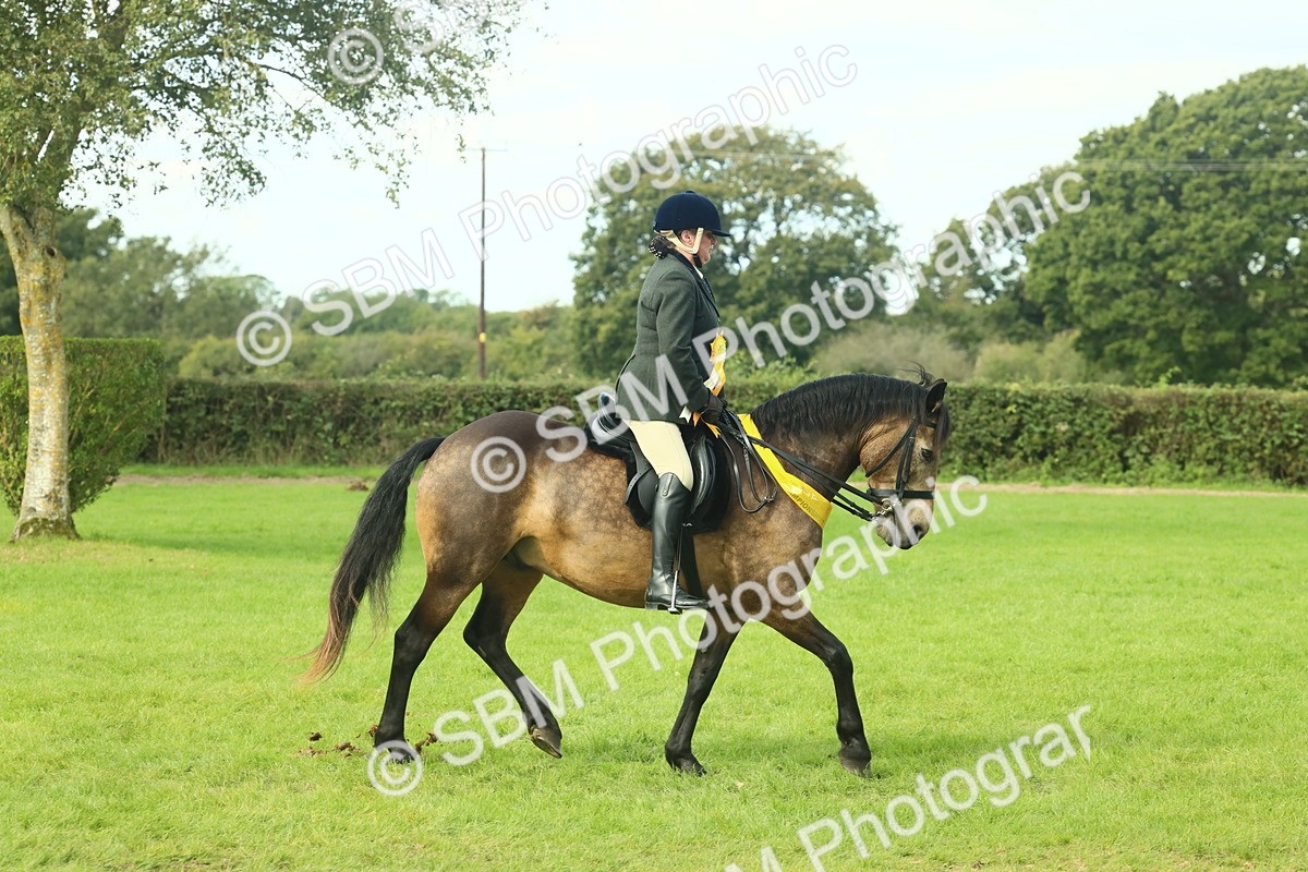 SBM_62717 - S63 - Other Coloured Horse Ridden