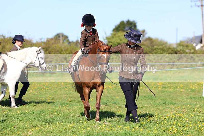 3E7A8917 - Class 2: Lead rein