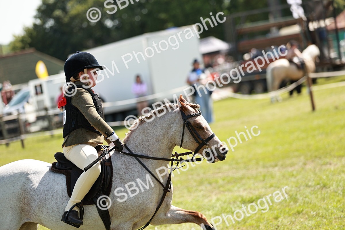 SBM_13620 - Class 108-109 - BSPS LIHS Open Gradle & Nursery Stakes