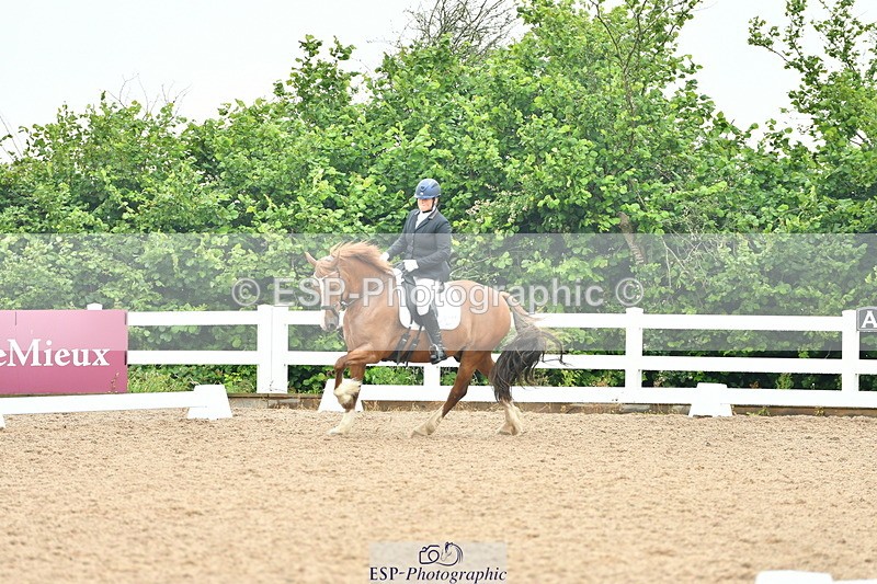 230708A-135324-02858 - Elementary 43