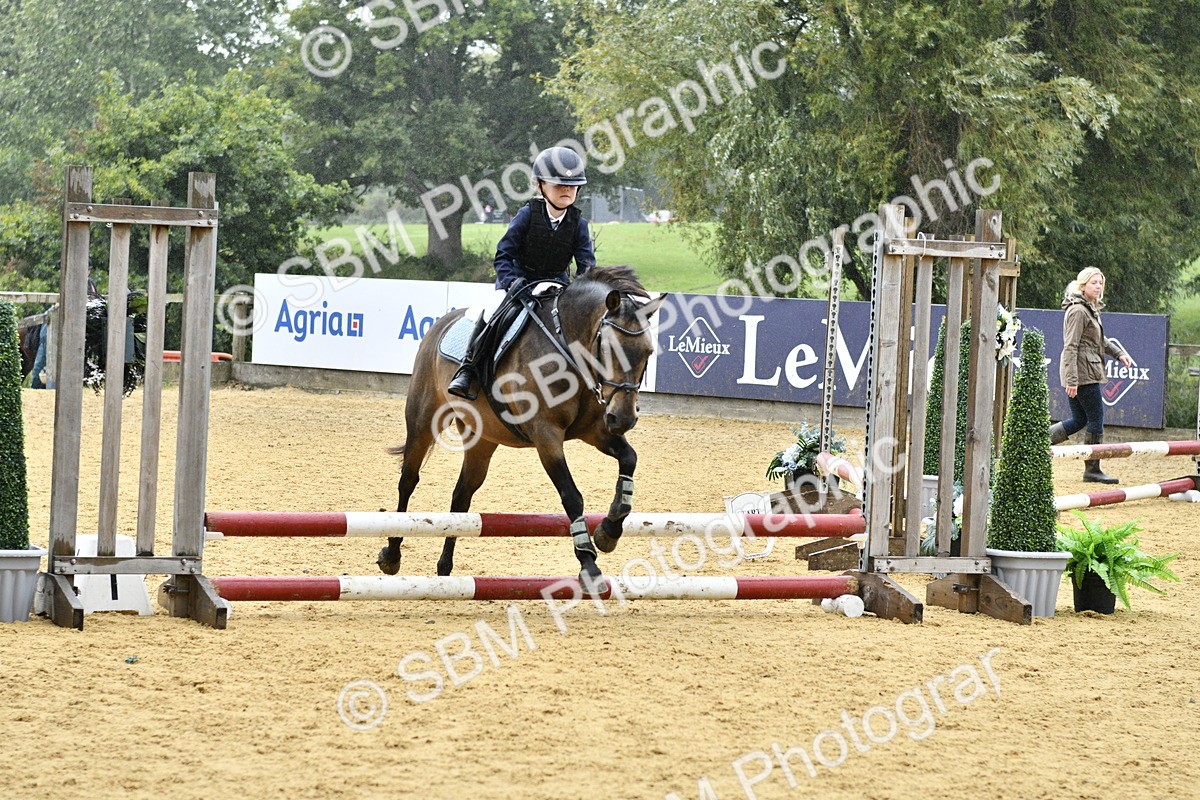 SBM_70873 - J3 - Mini Tour Junior Pony 40cm championship
