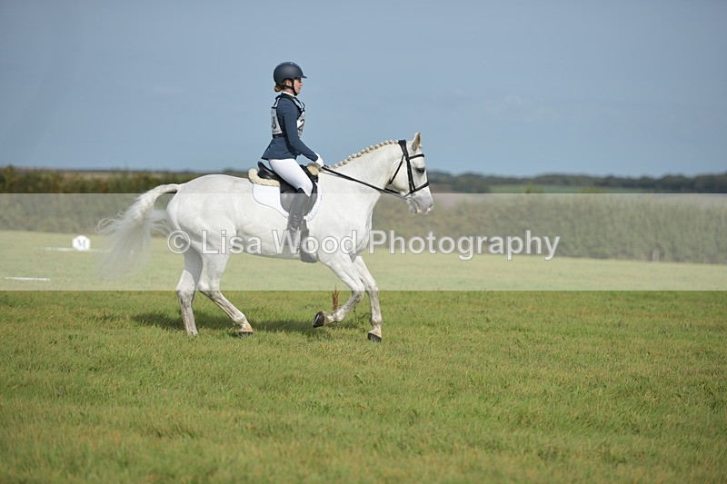 RAY_7703 - Class 2B: Trekenning Open: Dressage