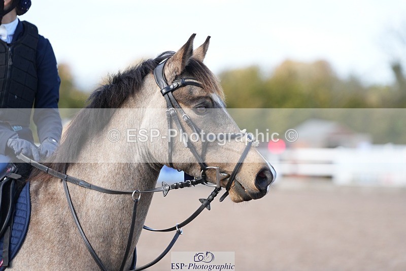 251025-122906-00370 - Cls 8 Pony Winter Pearl Champ Qualifier