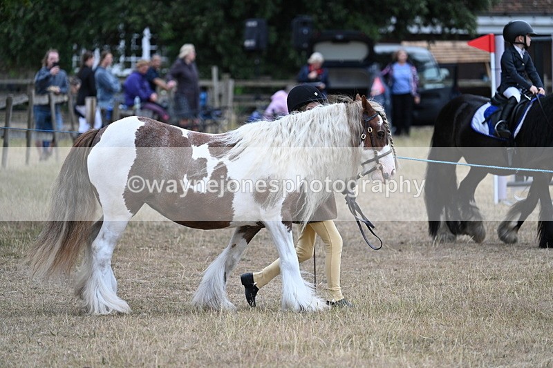 WJ7_8246 - Class 4 Prettiest Mare up to 14.2hh