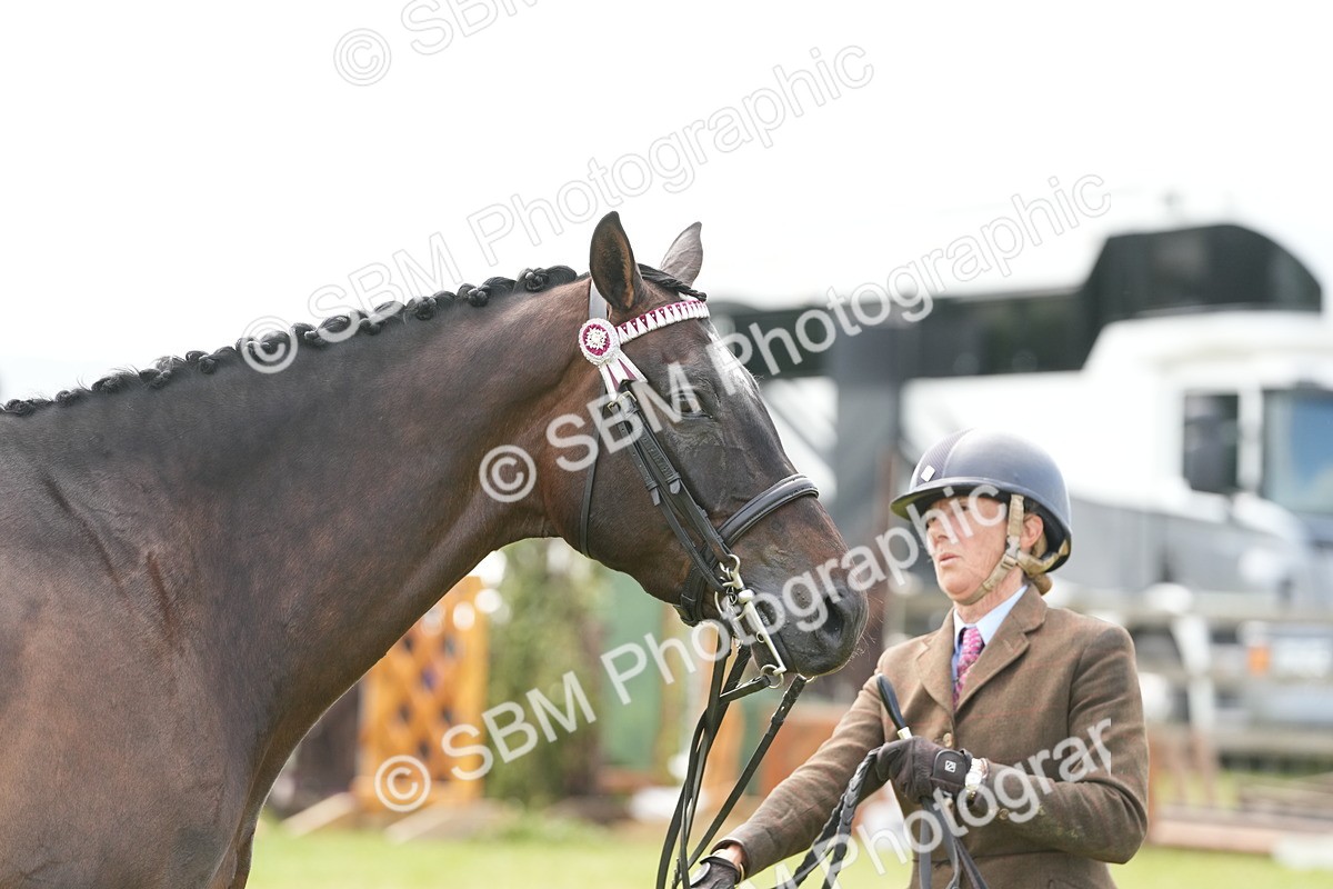 SBM_16261 - Class 105-106 - RIHS Riding Horses