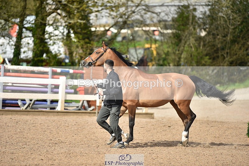 240417A-164446-01314 - 4pm to Finish