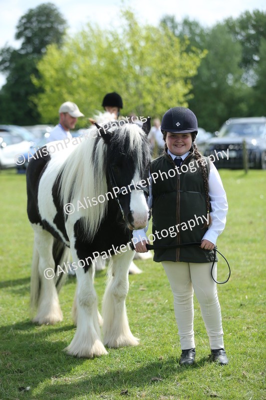 20250427-3909 - Class 10 - Best Mane and Tail