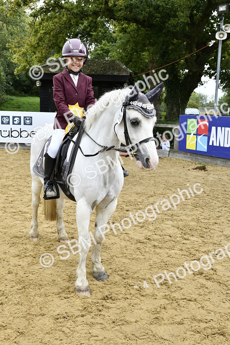 SBM_66206 - J2a mini Tour Junior Pony 30cm Championship