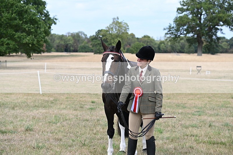 WJ6_6302 - Class 19 In-hand Veterans (Uploaded correct folder)