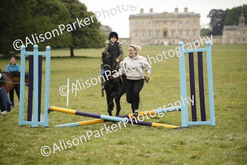 20250517-0294 - Class 1 - 30cm On Lead Rein