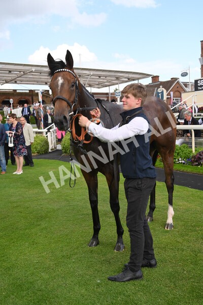 yr10062022r6-41 - Race 6 4.40pm No 1 York by GuestHouse Hotels British EBF Novice Fillies Stakes