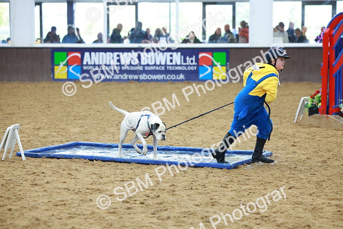 SBM_002304 - Class 3 - Horse & Hound (60cm)