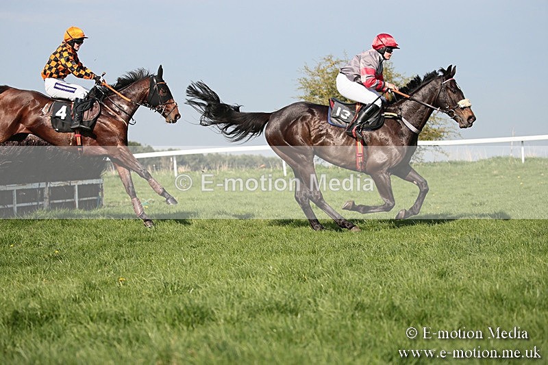 PtP 210418 508 - South & West Wilts Point-to-Point Larkhill 21/04/18