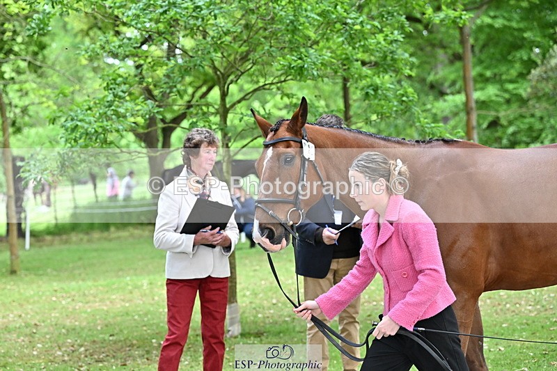 250521A-143838-00138 - A-013-Marianna.Sawyer-KINGSTON