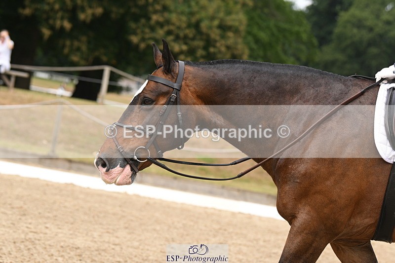 250719A-120624-04612 - 026-Carol.Quantrill-Cormoy.Lad