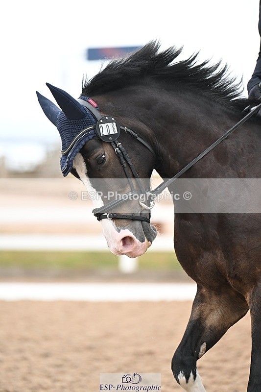 250705-175531-02972 - N3 Section BDNOV3 15.55 to 17.19