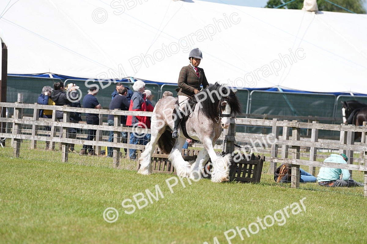 SBM_17102 - Class 107-108 - LIHS BSPS Performance Coloured Horse Pony