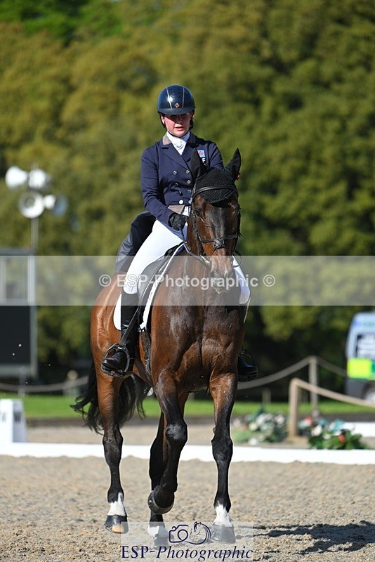 230526-172804-07615 - 263-CARWARTHEN_HARRIER-Polly_Muirhead-WEDTrotUp+DR