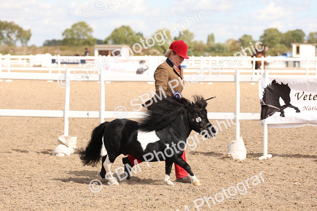 SBM_14004 - Class 205 - IH Show Pony - Show Hunter Pony