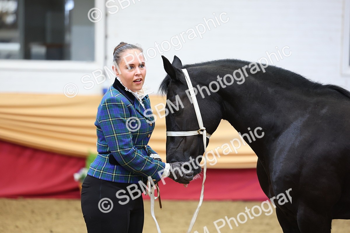 SBM_22847 - Class 903 - Supreme Final - IH Pre Vet