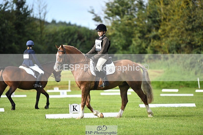 230826-091231-15050 - Sections C & D 9 to 10am